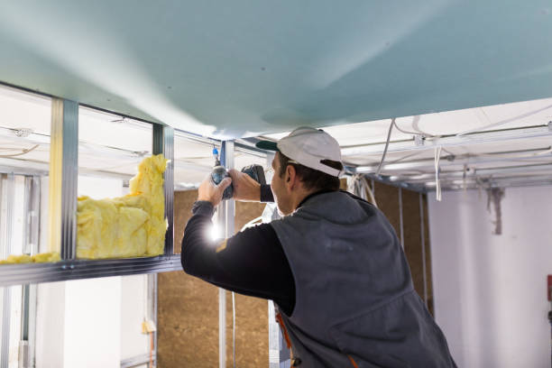 Best Attic Insulation Installation  in Lake Darby, OH