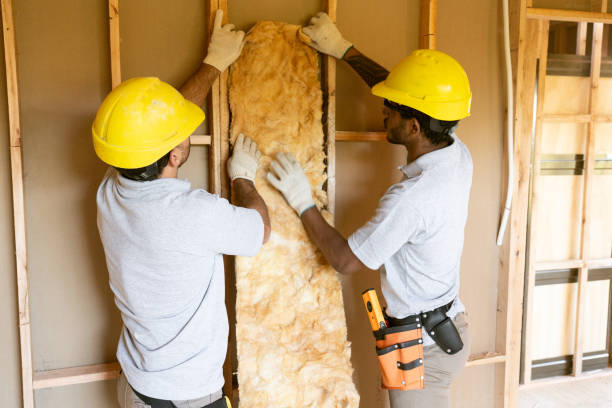 Professional Insulation in Lake Darby, OH