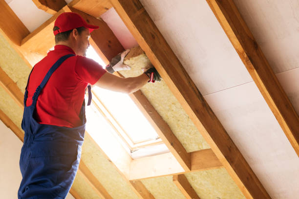 Best Spray Foam Insulation  in Lake Darby, OH